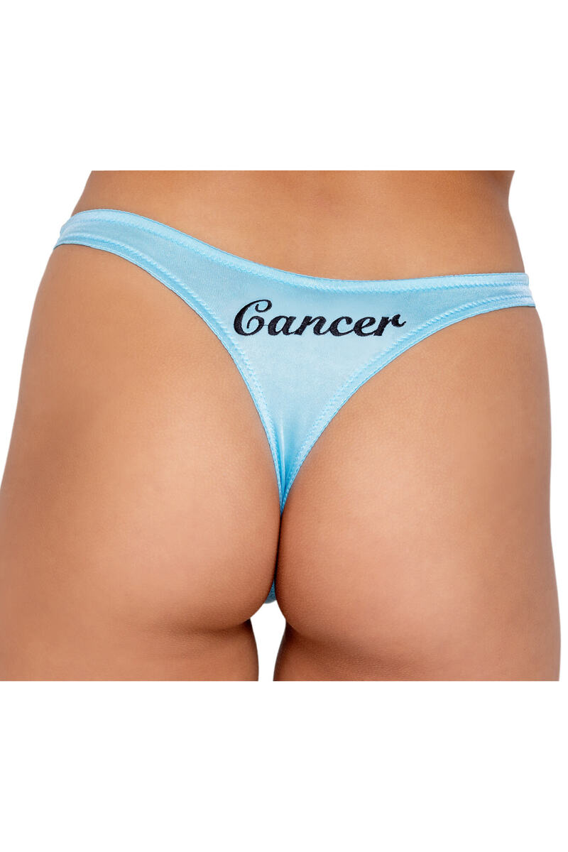 Zodiac Aquarius Panty