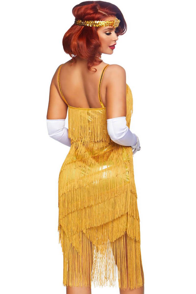 Dazzling Daisy Flapper Costume