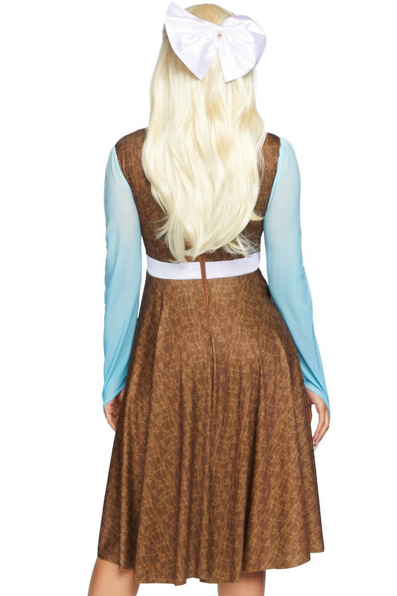 Peasant Cinderella Costume