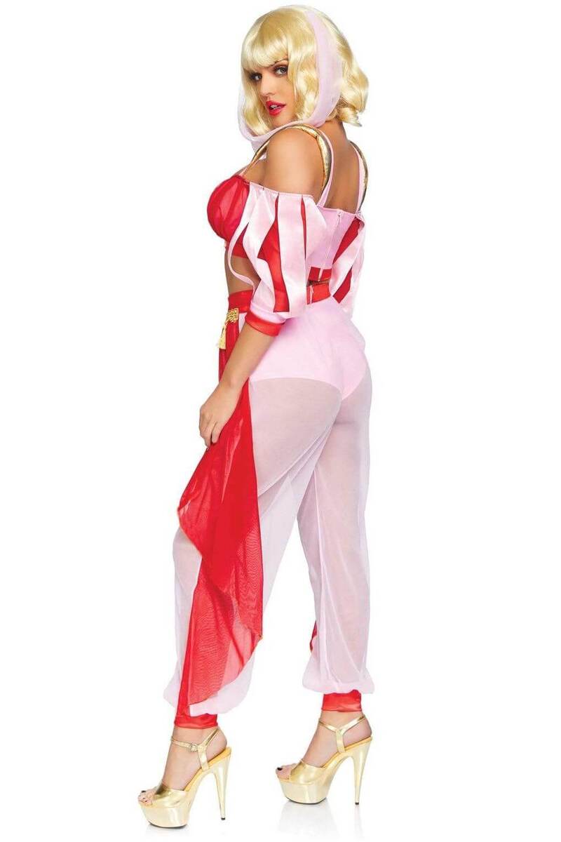 Dreamy Genie Costume