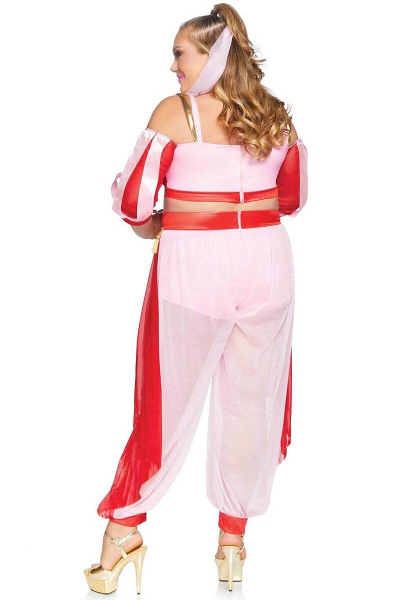 Plus Size Dreamy Genie Costume