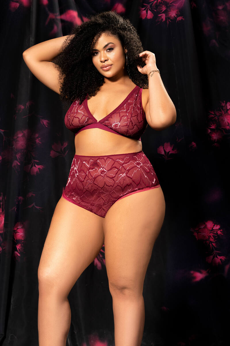 Plus Size Exquisite Bicolor Lingerie Set