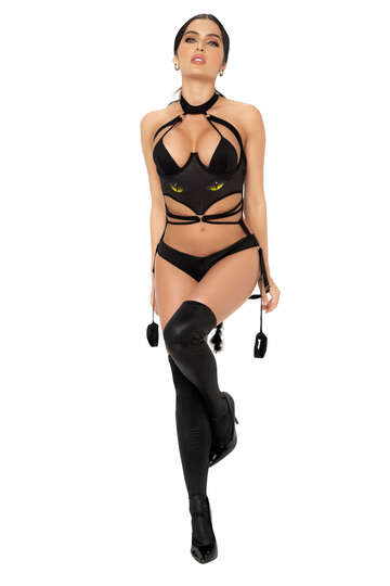 Cat Girl Lingerie Costume Front