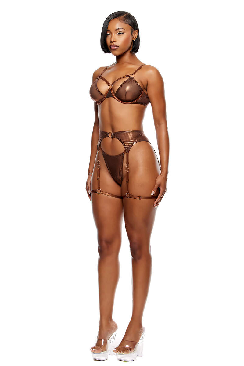 Liquid Metal Metallic Mesh Bra and Garter Belt Lingerie Set Liquid Metal Metallic Mesh Bra and Garter Belt Lingerie Set