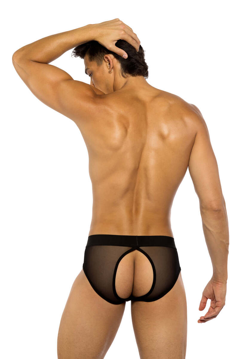 Sheer Peek-a-Boo Briefs Black Back Sheer Peek-a-Boo Briefs Black Back