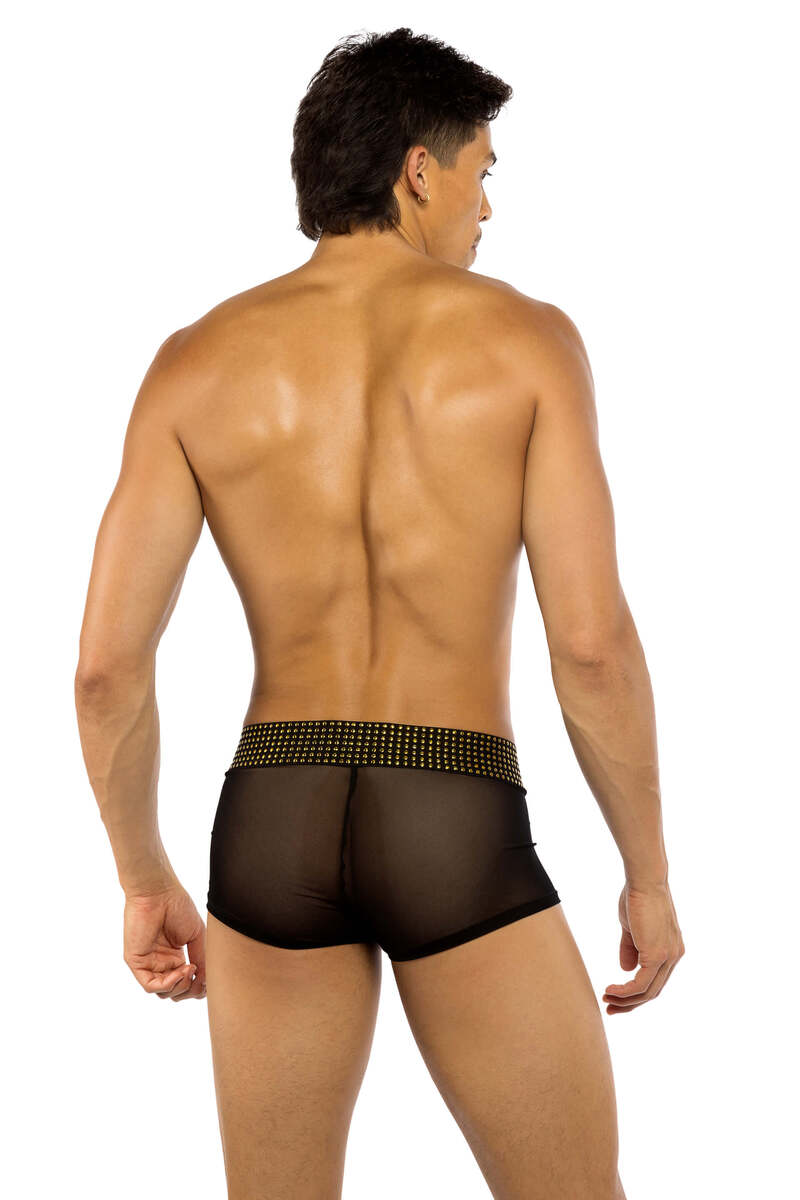 Sacred Heart Trunks Black Back
