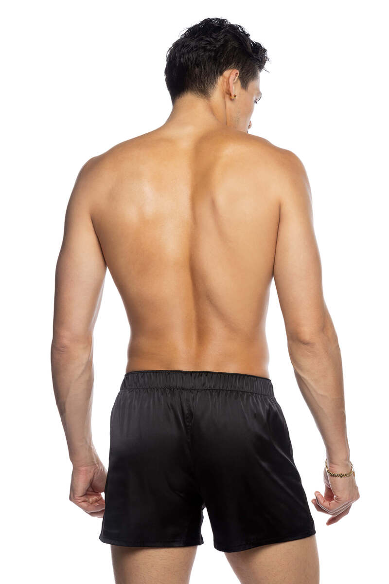 Champion Boxer Black Back