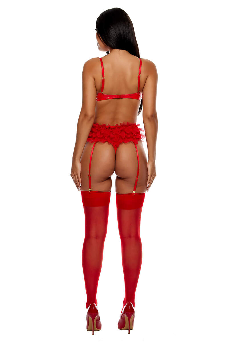 Show and Tulle Vinyl and Mesh Teddy REd Back