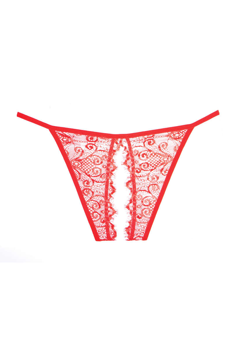 Enchanted Belle Lace Panty