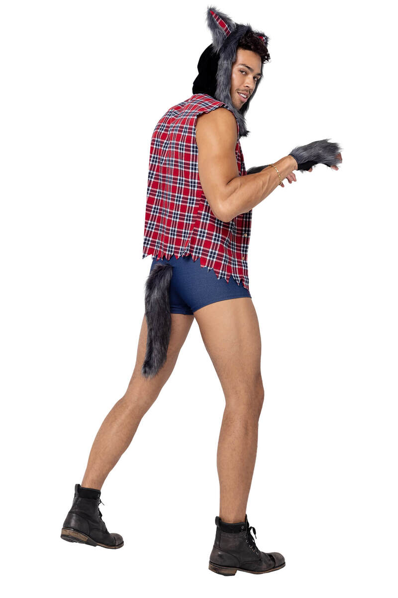 Men's Full Moon Werewolf Costume