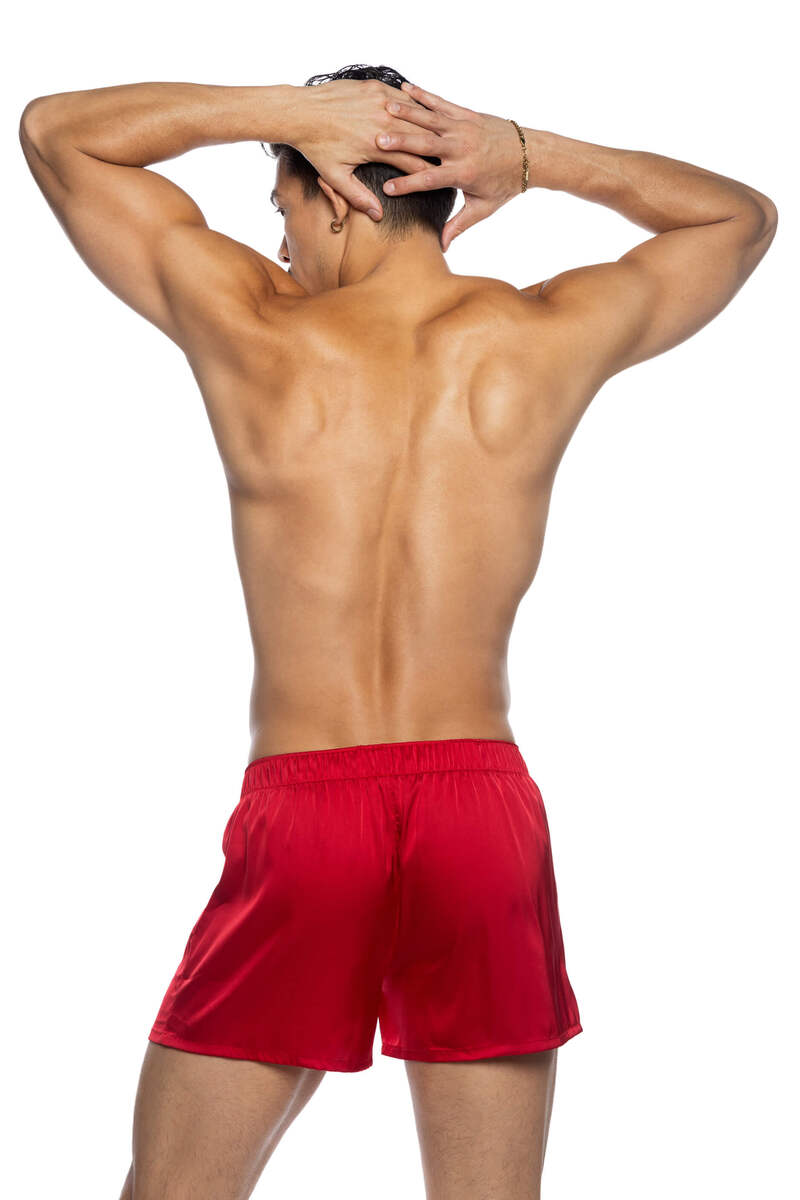 Champion Boxer Red Back